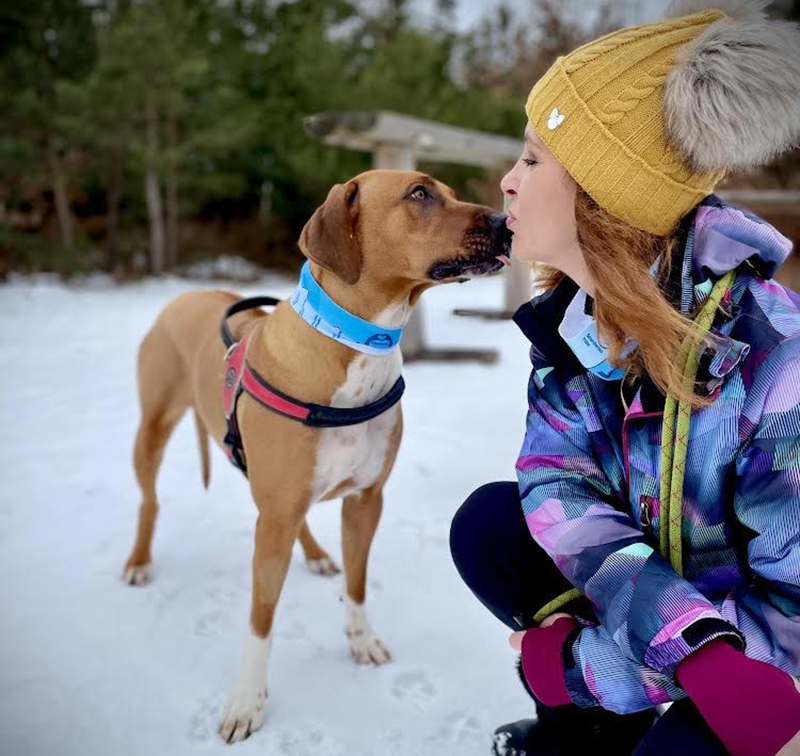 ridgeback Vránová 1